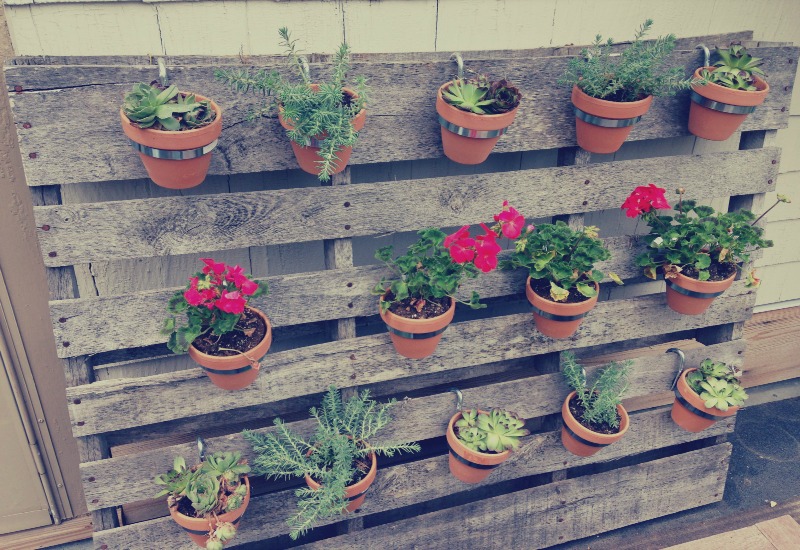 Hanging pallet planter