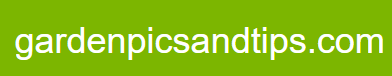 gardenpicsandtips.com